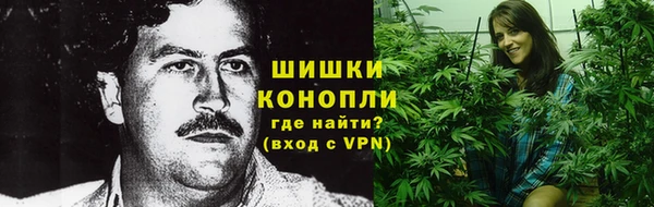 спайс Нягань