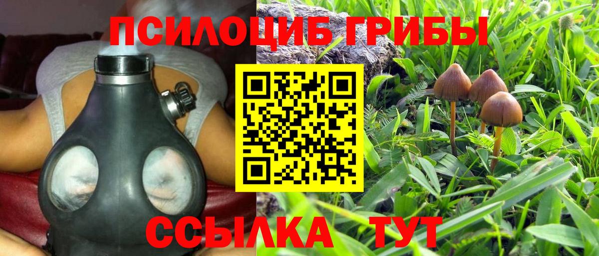 Псилоцибиновые грибы MAGIC MUSHROOMS  Вход с VPN  Черногорск 